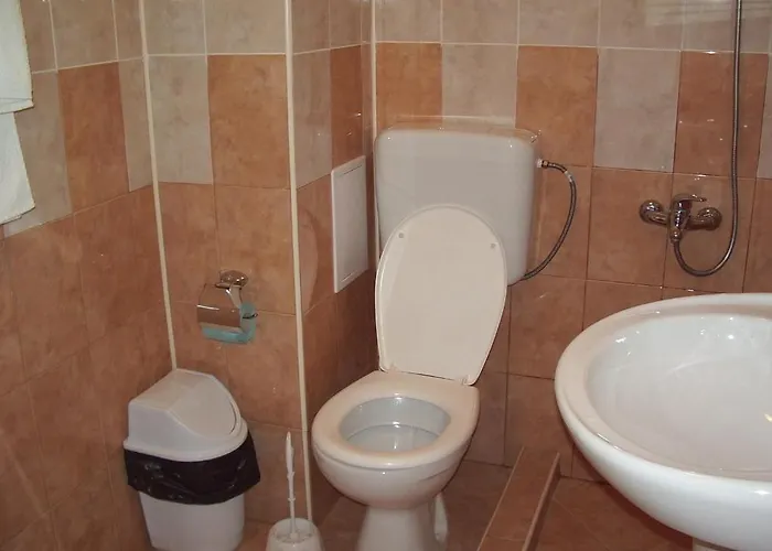 ホテル Vanessa Family ラヴダ