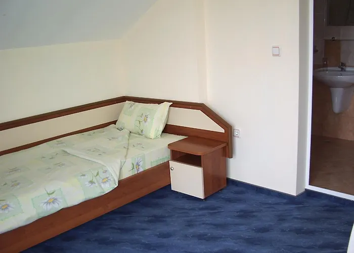 ホテル Vanessa Family ラヴダ